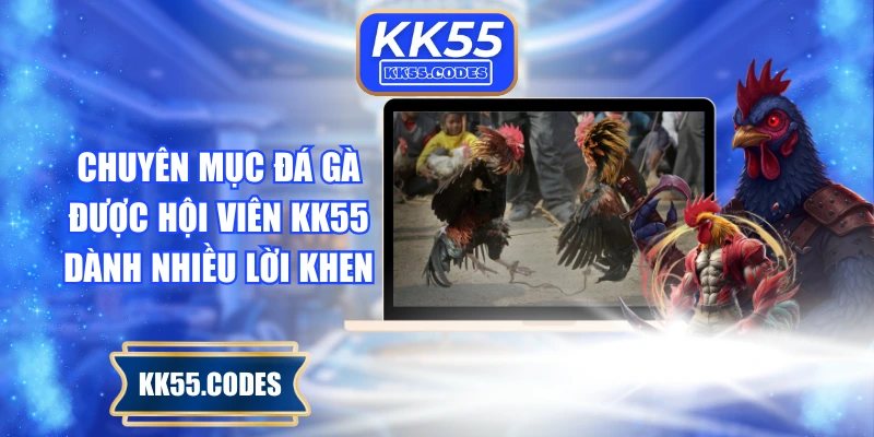 Chuyên mục đá gà được hội viên KK55 dành nhiều lời khen